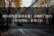 黑料网专区重磅来袭！今晚热门圈内人秘闻揭秘，真相大白