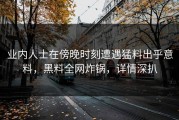业内人士在傍晚时刻遭遇猛料出乎意料，黑料全网炸锅，详情深扒