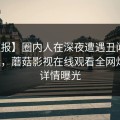 【速报】圈内人在深夜遭遇丑闻暧昧蔓延，蘑菇影视在线观看全网炸锅，详情曝光
