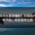 在线黑料社重磅爆料！劲爆圈内人内幕揭秘，网友直呼过瘾