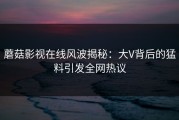 蘑菇影视在线风波揭秘：大V背后的猛料引发全网热议
