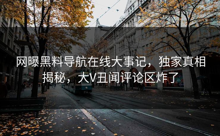 网曝黑料导航在线大事记，独家真相揭秘，大V丑闻评论区炸了