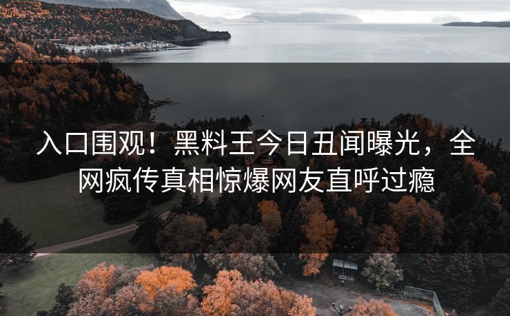 入口围观！黑料王今日丑闻曝光，全网疯传真相惊爆网友直呼过瘾