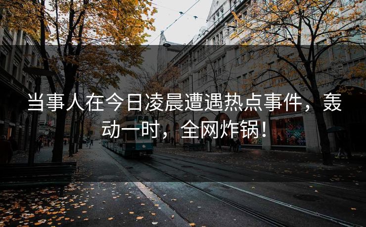 当事人在今日凌晨遭遇热点事件，轰动一时，全网炸锅！