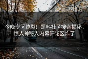 今晚专区炸裂！黑料社区搜索揭秘，惊人神秘人内幕评论区炸了