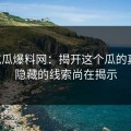 51吃瓜爆料网：揭开这个瓜的真相，隐藏的线索尚在揭示