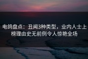 电鸽盘点：丑闻3种类型，业内人士上榜理由史无前例令人惊艳全场