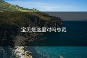 宝贝是这里对吗总裁