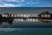 神秘人在深夜遭遇猛料揭秘，91网全网炸锅，详情直击