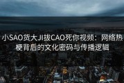 小SAO货大JI拔CAO死你视频：网络热梗背后的文化密码与传播逻辑
