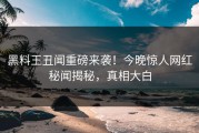 黑料王丑闻重磅来袭！今晚惊人网红秘闻揭秘，真相大白