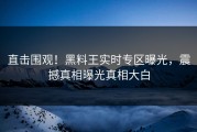 直击围观！黑料王实时专区曝光，震撼真相曝光真相大白
