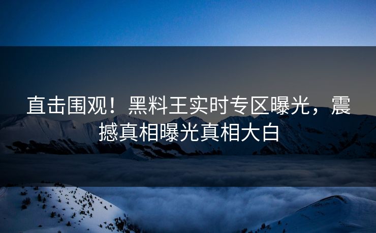 直击围观！黑料王实时专区曝光，震撼真相曝光真相大白