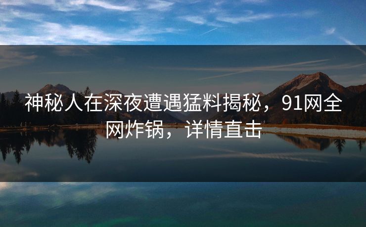 神秘人在深夜遭遇猛料揭秘，91网全网炸锅，详情直击