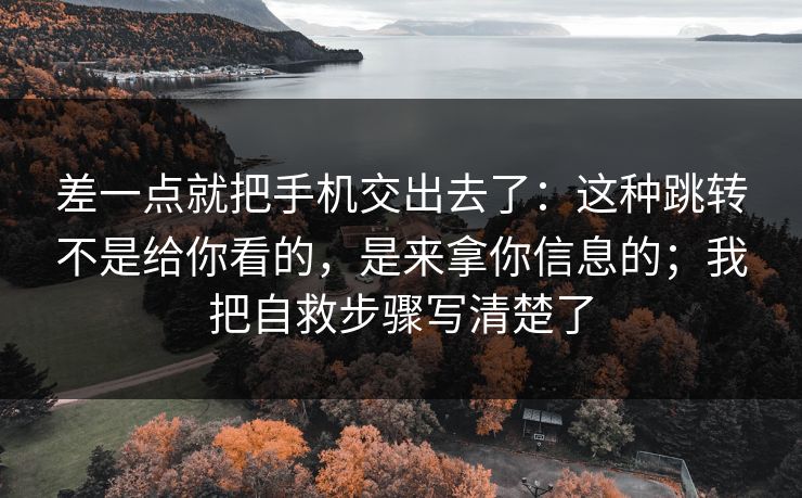 差一点就把手机交出去了：这种跳转不是给你看的，是来拿你信息的；我把自救步骤写清楚了